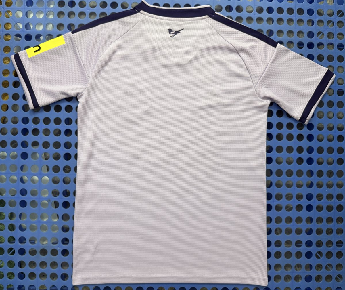 2026/27 Newcastle United Third Fan Jersey, back view