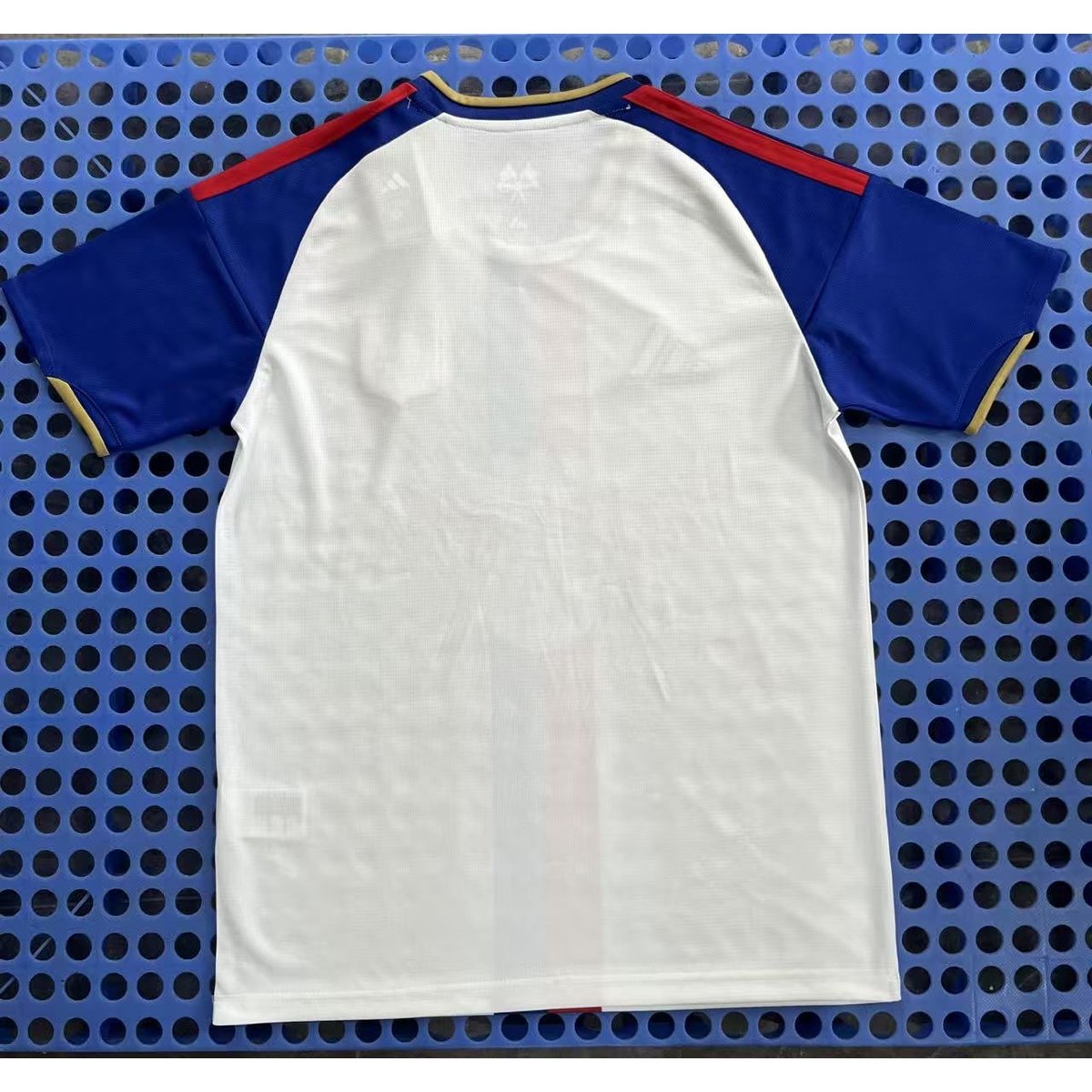 2026/27 Olympique Lyonnais Home Jersey — Fan back