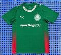 2026/27 Palmeiras Away Jersey — Fan